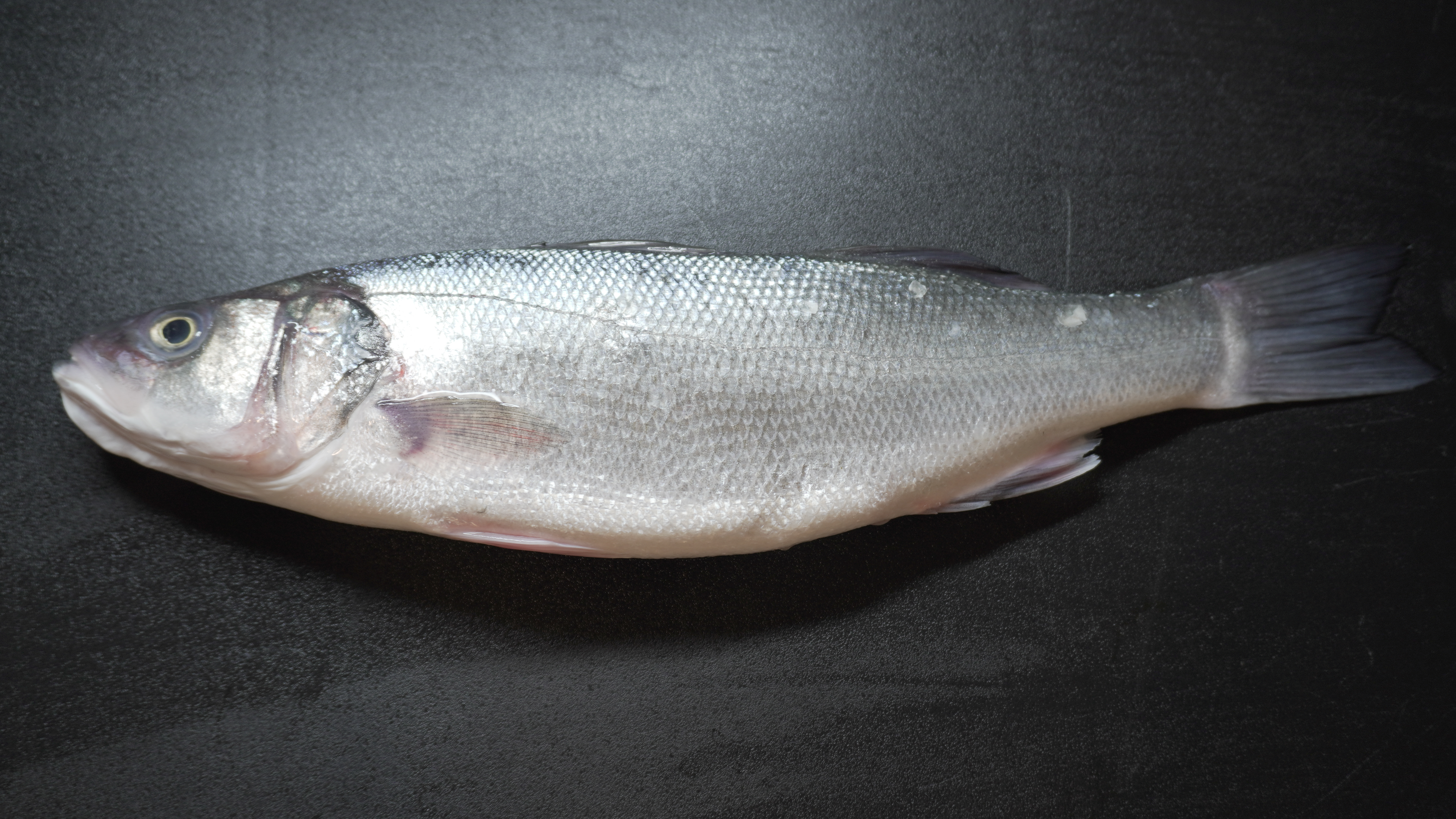 Taka Fish House