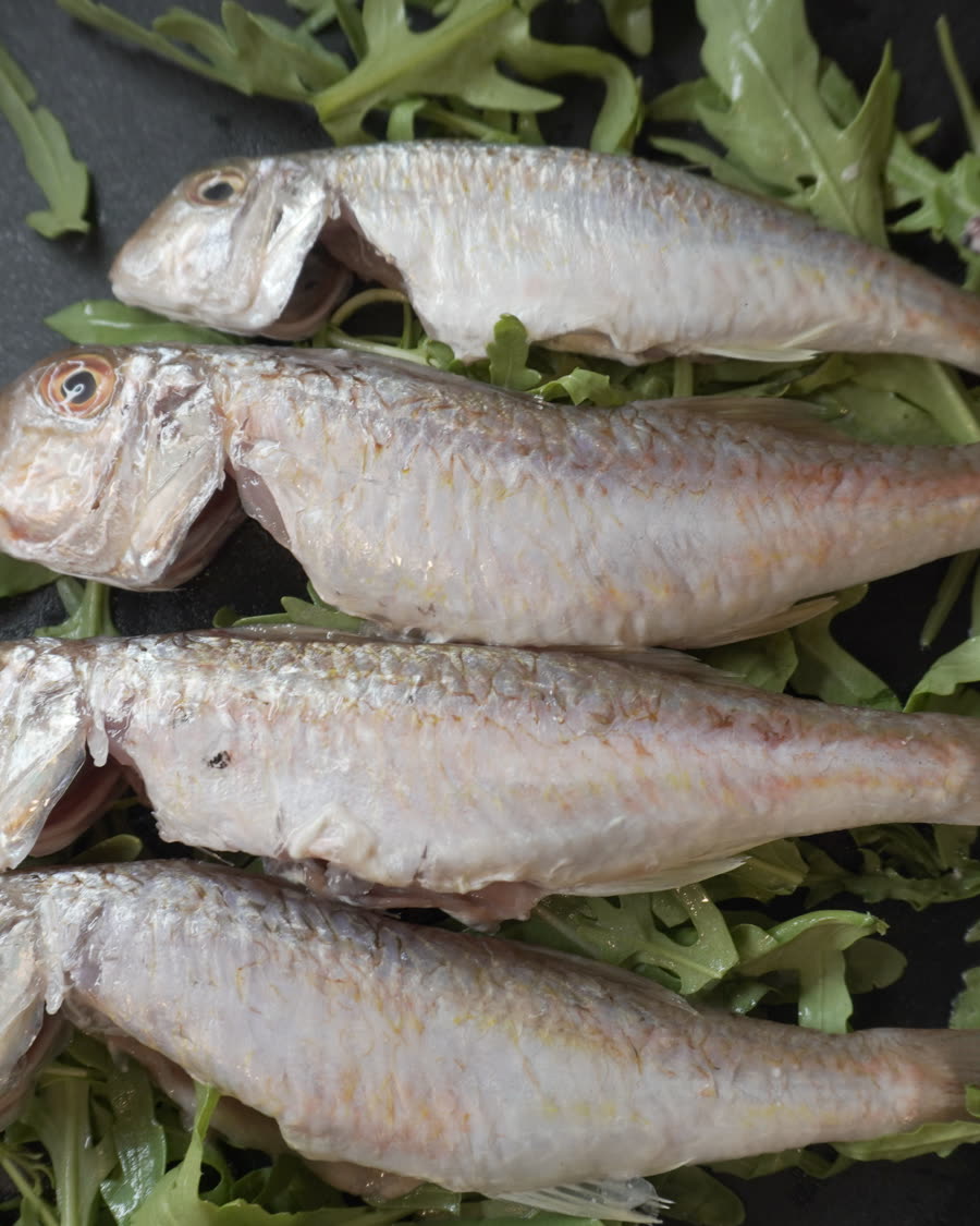 Taka Fish House